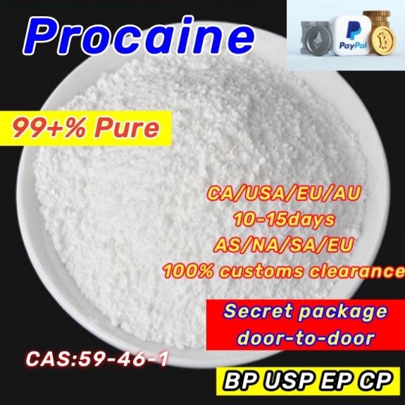 Procaine .CAS59-46-1