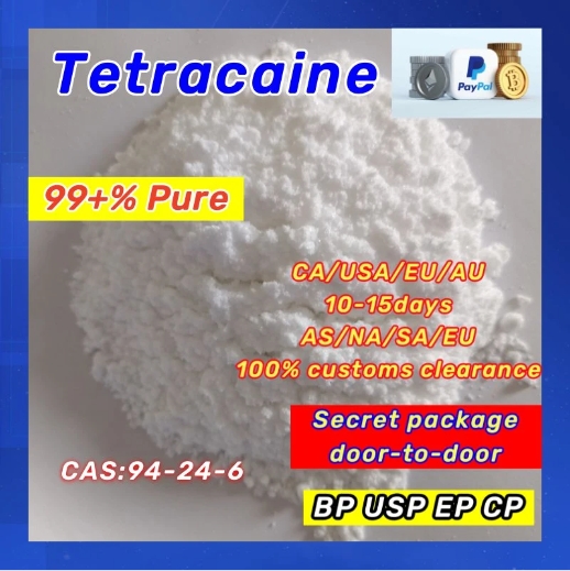 Tetracaine-CAS94-24-6